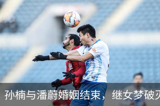 孙楠与潘蔚婚姻结束，继女梦破灭引发媒体热议